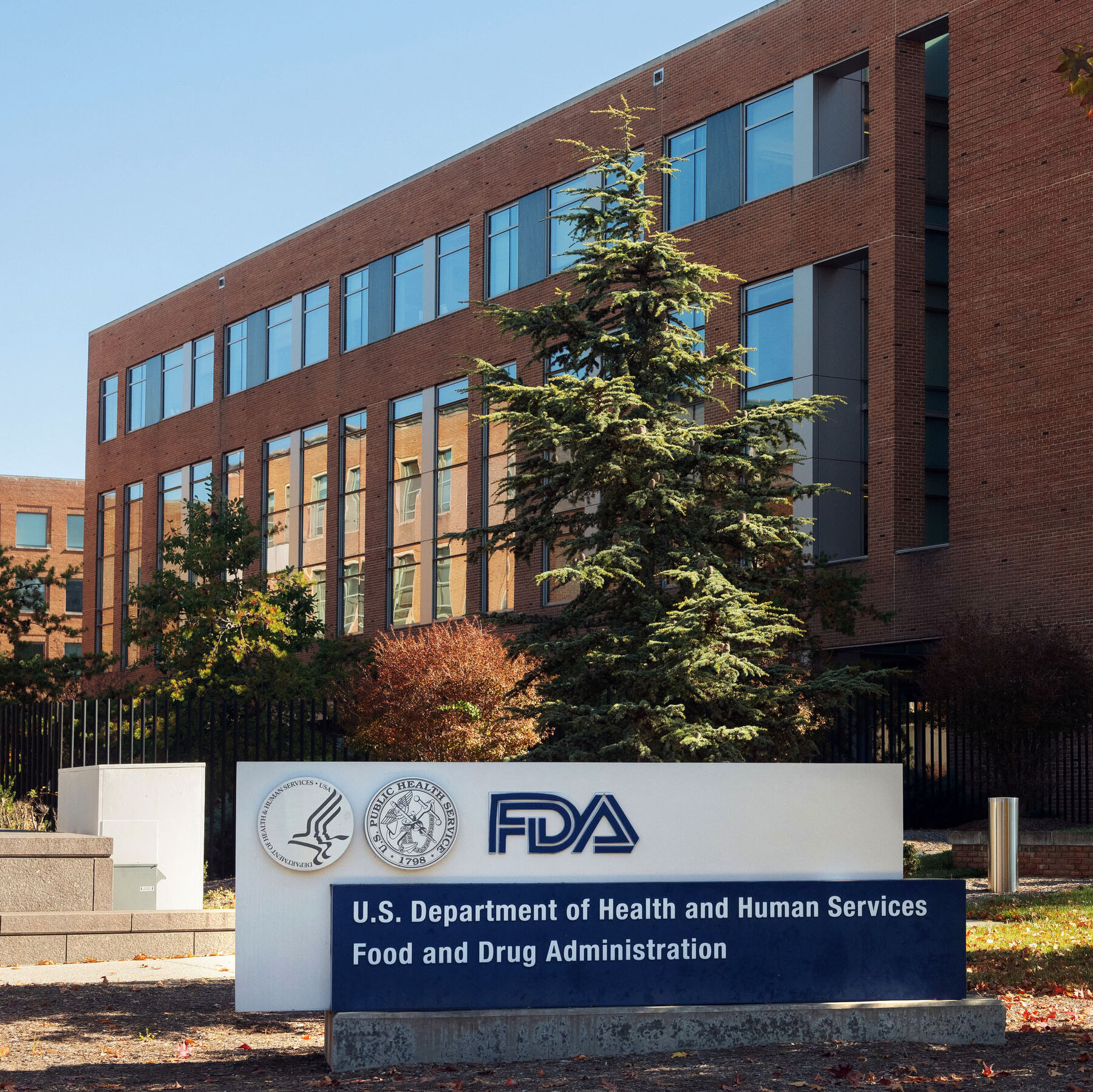 F.D.A. Panel’s Vote on Peptides Raises Concerns About a Prescribing Boom