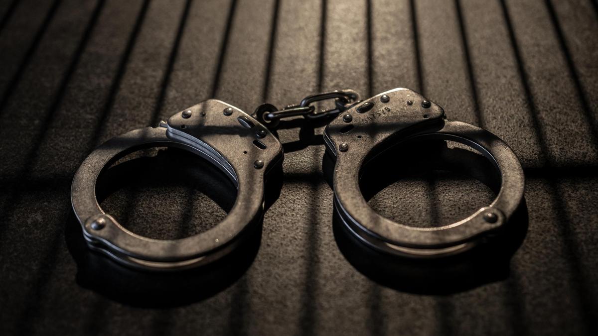 Double murder in Anna Nagar: Two brothers arrested for killing mother, younger sibling over property dispute