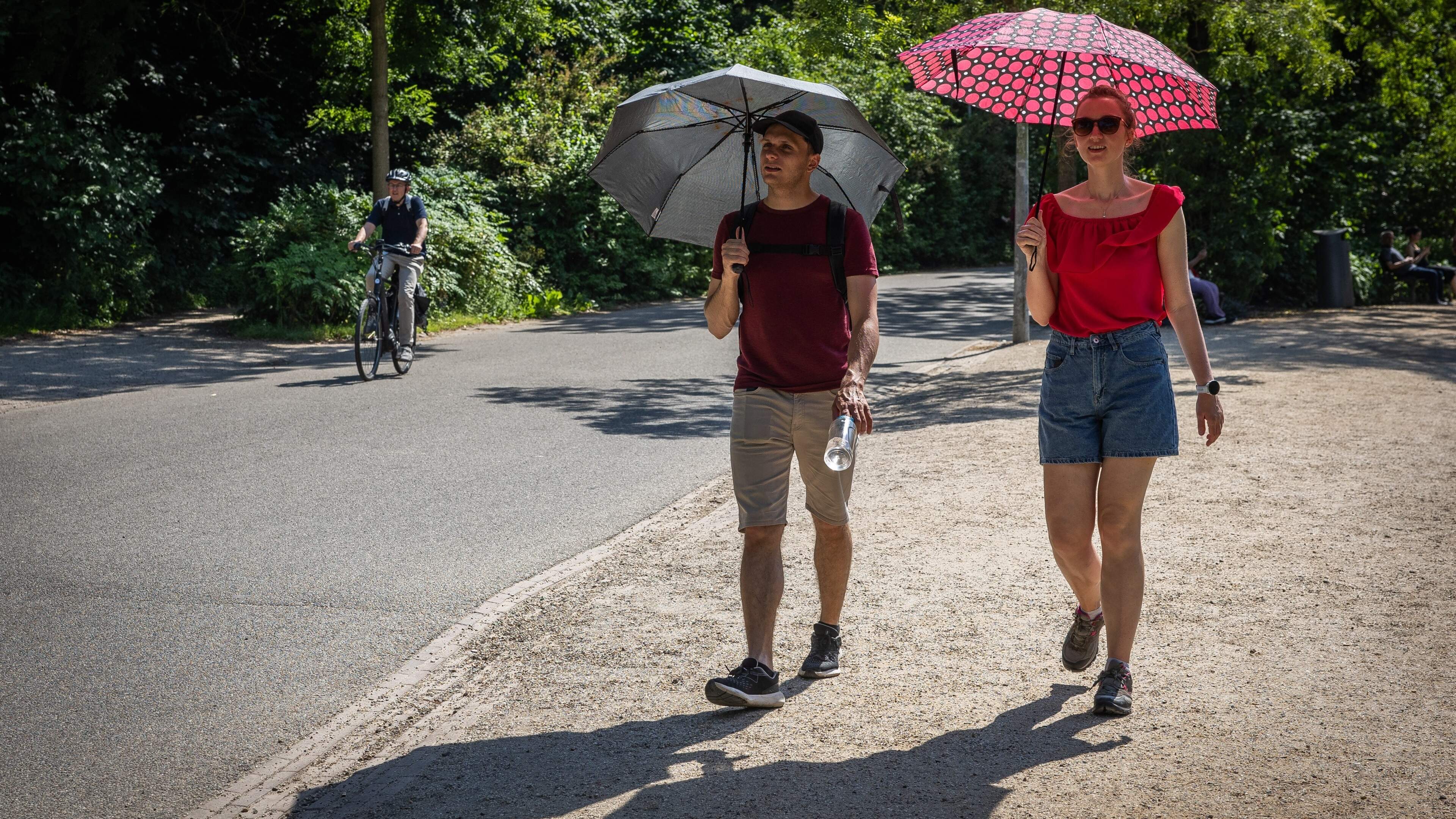 Temperatuursprong na frissere zondag: Nederland stevent weer af op tropische hitte
