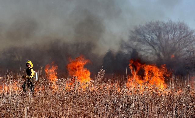 Wildfire in France has burned an area four times the size of Paris