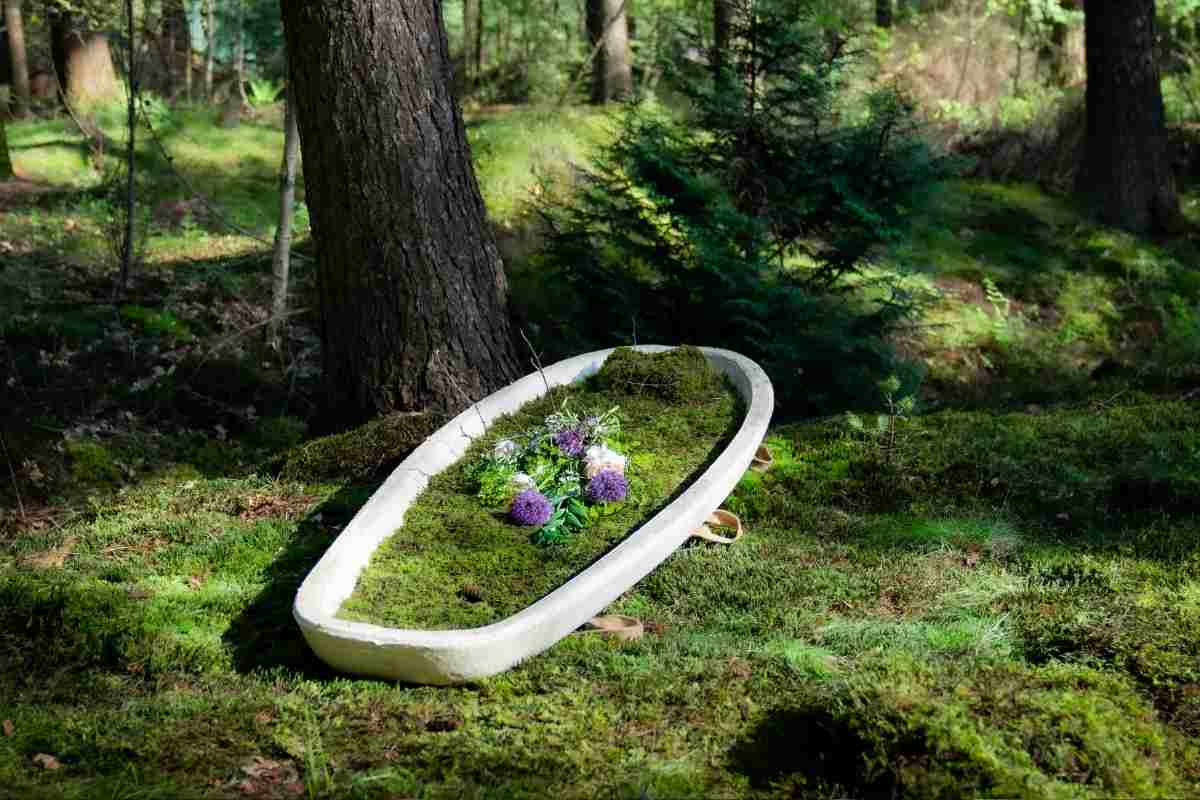 Deze paddenstoelen uitvaartkisten zijn goed voor de aarde