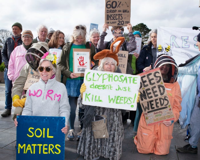 Fury in Cornwall over herbicide plan to tackle weeds