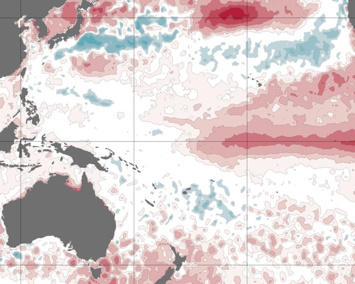 ‘We are waiting with bated breath’: experts alarmed as BoM says gathering El Niño could be strongest on record