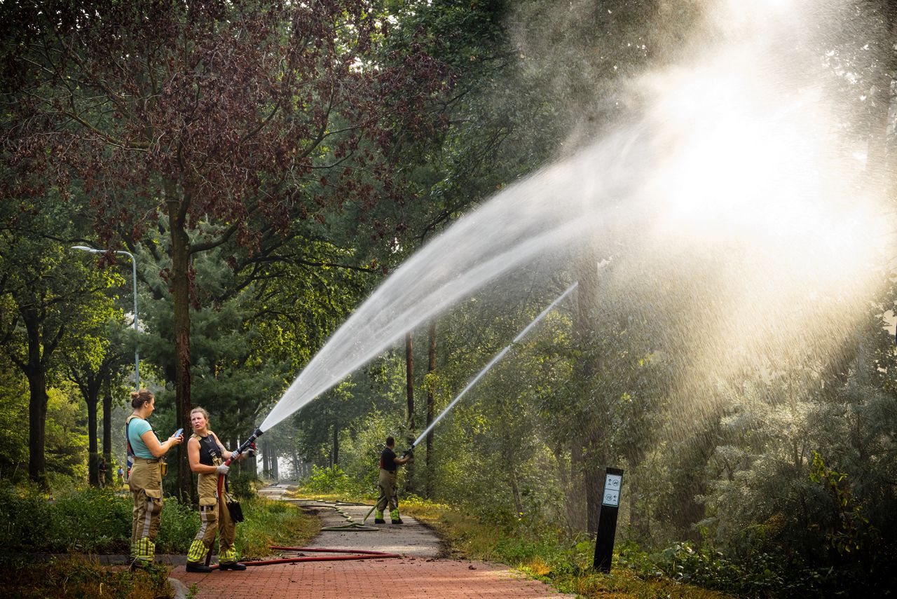 Een kroonbrand, zoals die bij Venray, is de gevaarlijkste die er is