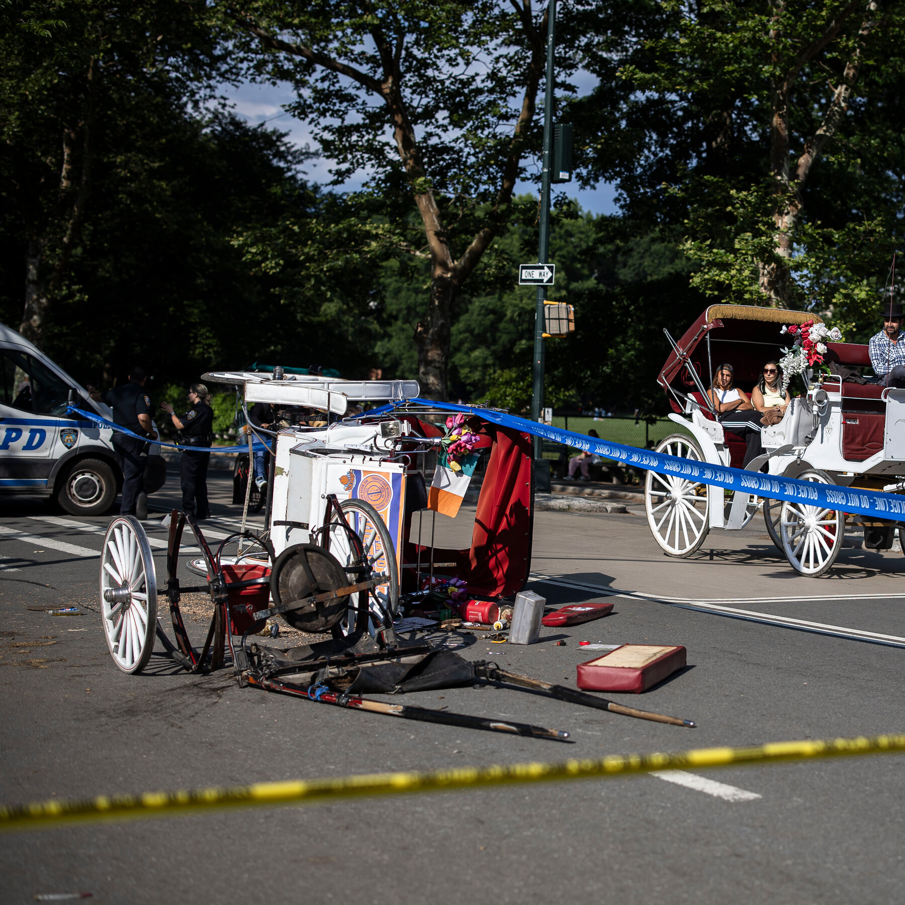 18-Year-Old Dies in Fall From Horse Carriage in Central Park