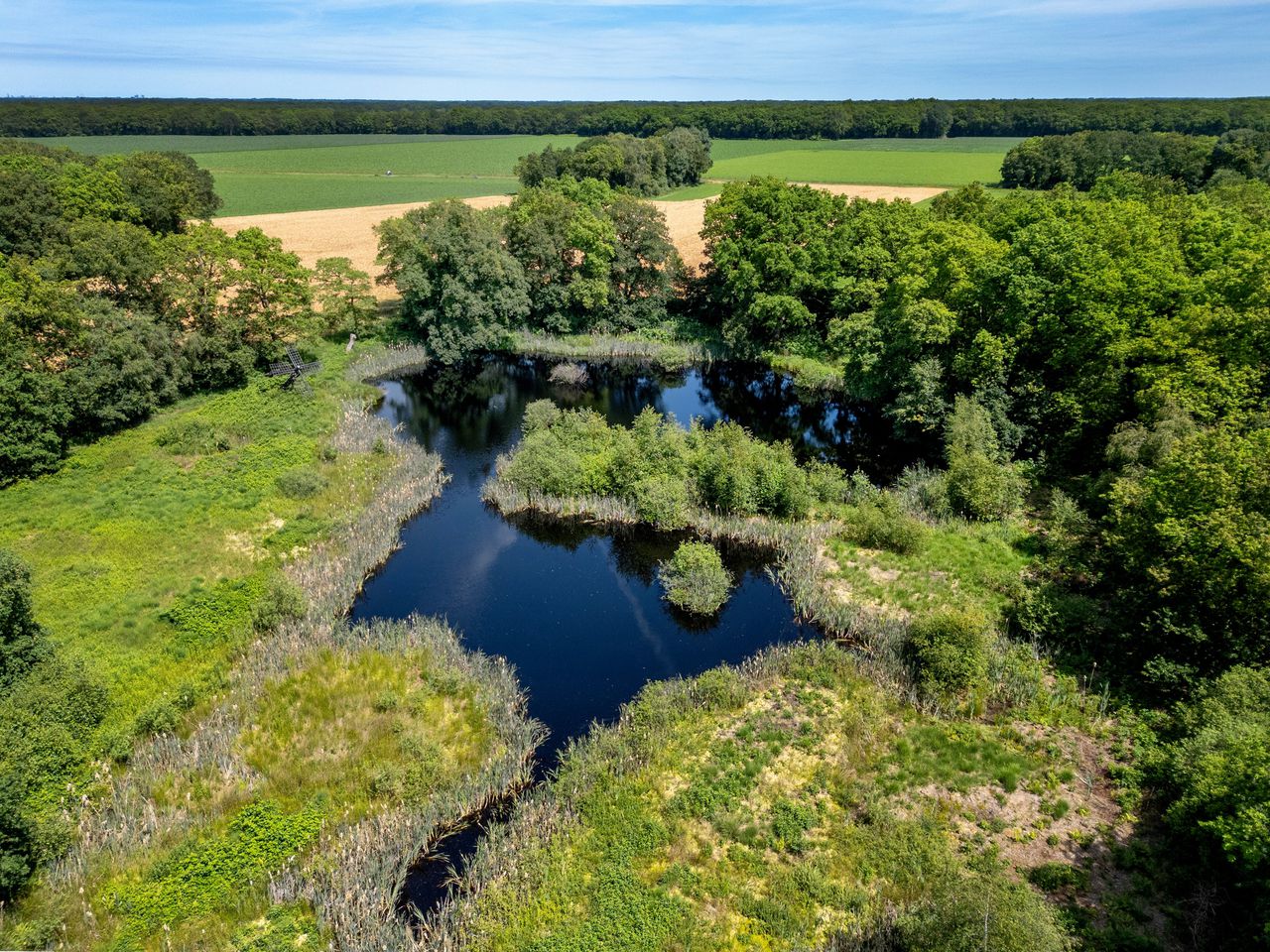 Ze hebben een leuke naam en Noord-Nederland ligt er vol mee. Het zijn groene erfenissen uit de ijstijd