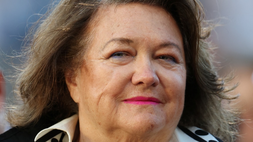 ABC apologises for episode featuring Gina Rinehart reference