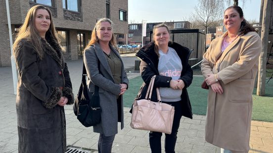 Ouders en directrice willen hek om schoolplein, maar kunst is belangrijker voor gemeente
