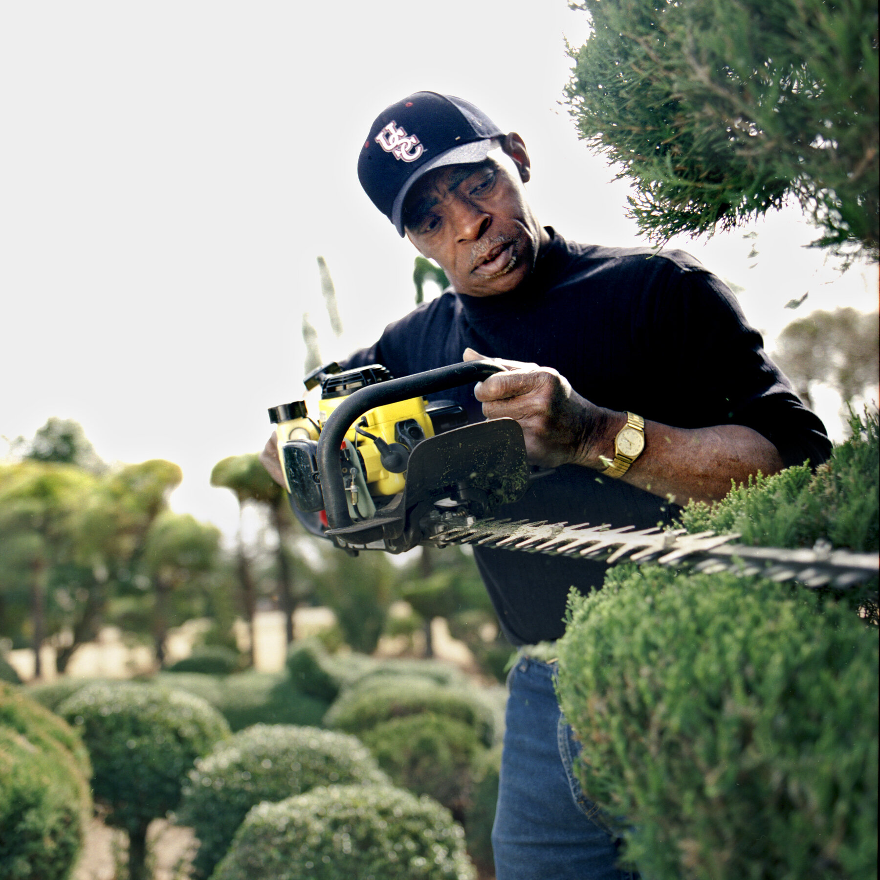 Pearl Fryar, a Picasso of Plants, Dies at 86