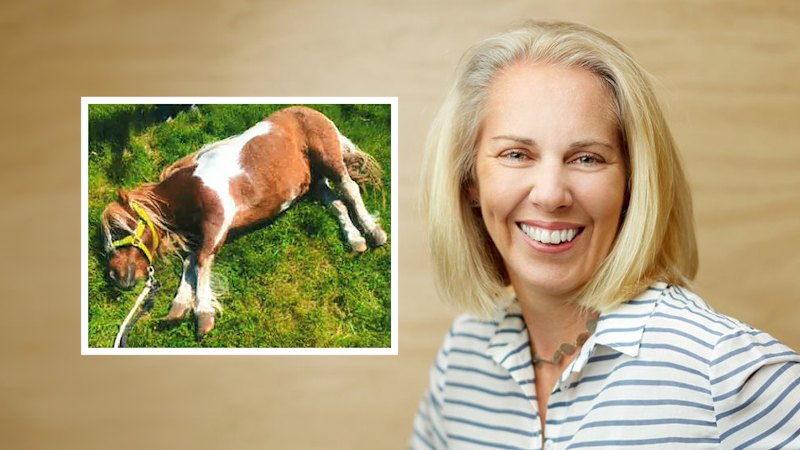 ‘Ethical farmer’ and wife of gangland lawyer charged with animal cruelty