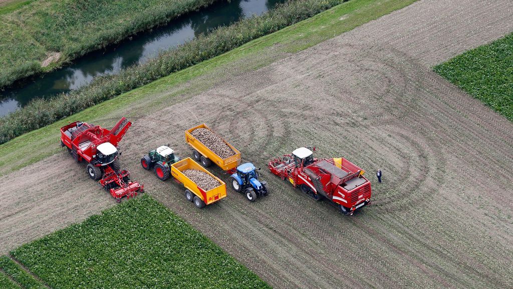 Rabobank: 'Nederlandse economie verliest de strijd met België en Denemarken'