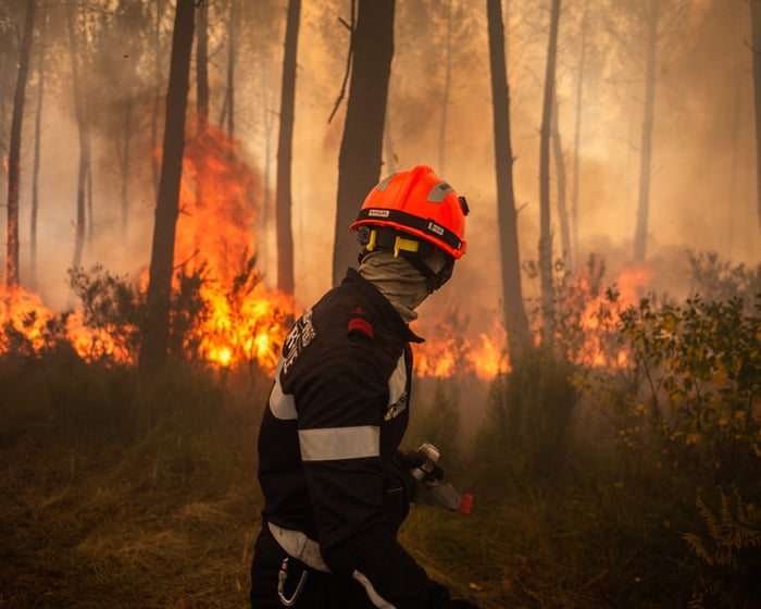 Will brutal wildfires force French leaders to take climate crisis seriously?
