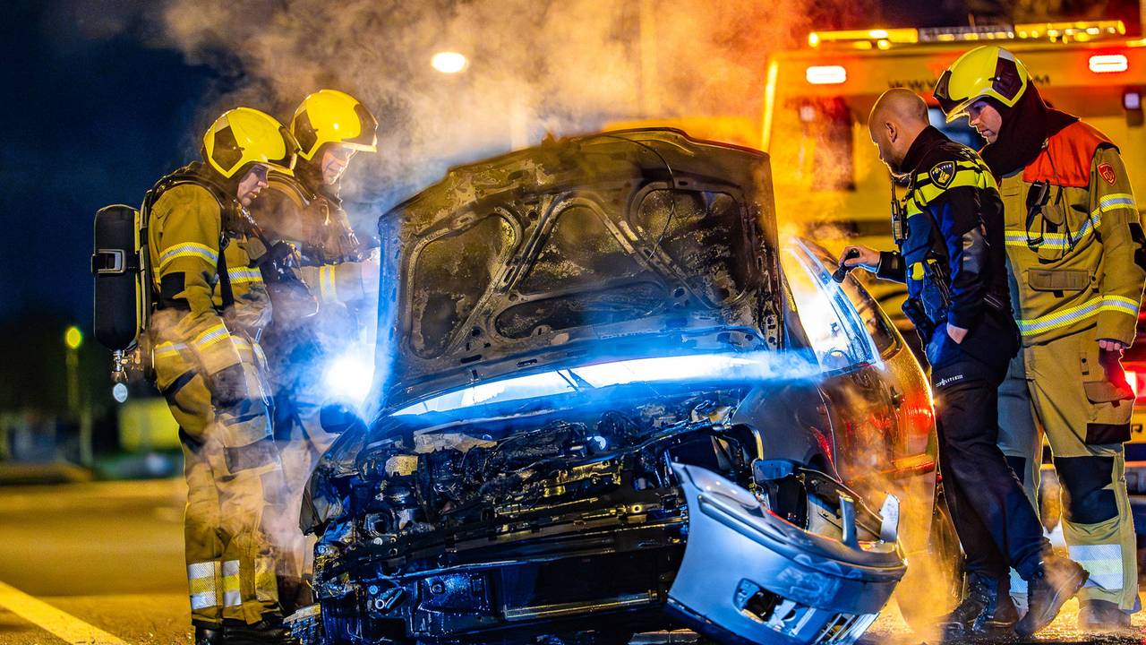 Auto crasht op A59 in Heesch, bestuurder rent de bosjes in