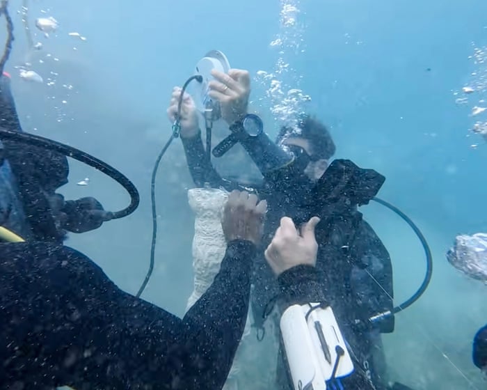 Soundtrack of the sea: divers use underwater speakers to help dying coral reefs