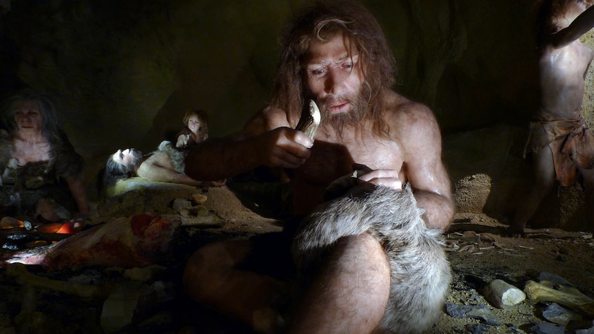 Oldest evidence of dentistry found in 59,000-year-old Neanderthal tooth