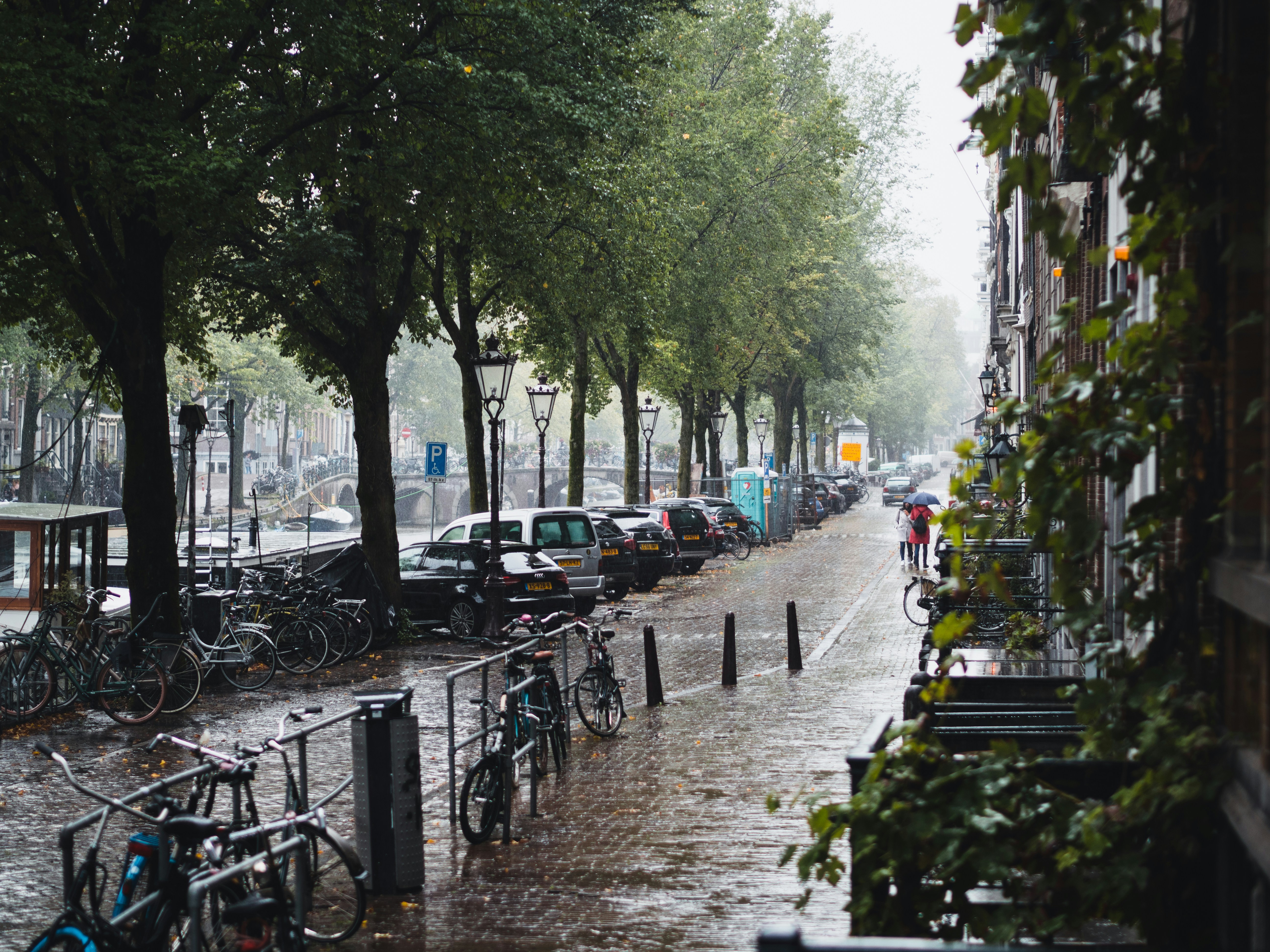 Woon je in de stad? Dan heb je volgens dit onderzoek vaker last van regen