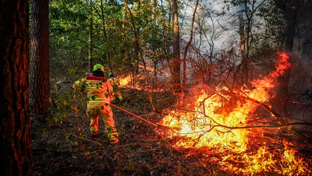 Brandweer nog bezig met blussen natuurbrand in Noord-Limburg, NL-alert blijft gelden