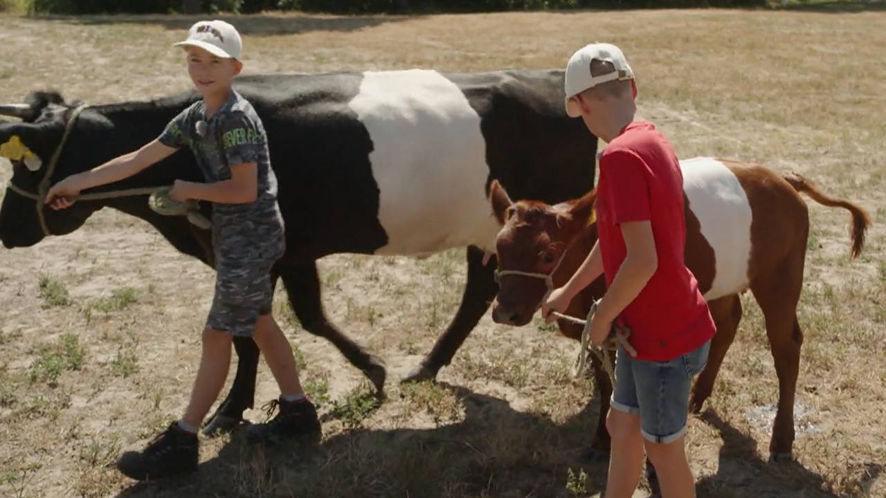 Deze lakenvelders worden elke week uitgelaten door Thijs en Ries