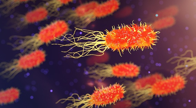 2 researchers charged with smuggling mpox into the US