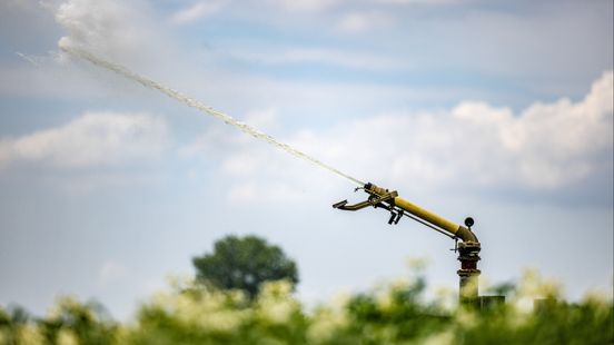 Bollentelers vrezen voor zout water: 'Alles gaat dan verpieteren'