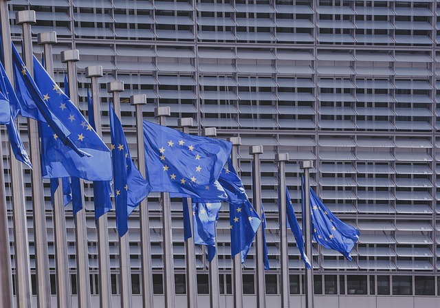 EU takes step toward proxy voting for pregnant MEPs