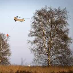 Droogte jaagt kans op natuurbranden Veluwe aan: 'Regenbui gaat niet helpen'