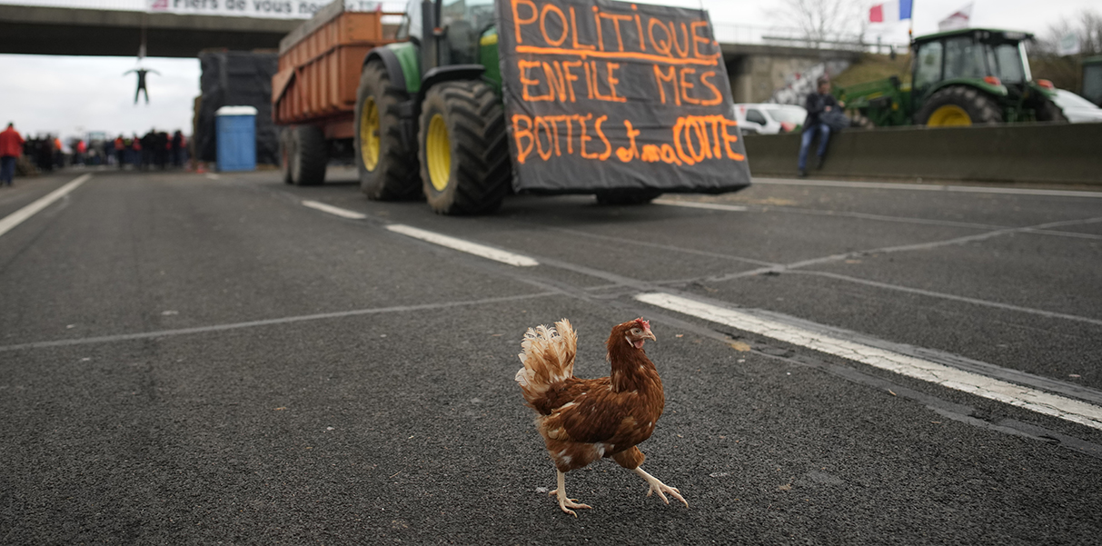 Europese boeren protesteren opnieuw tegen Mercosur-deal