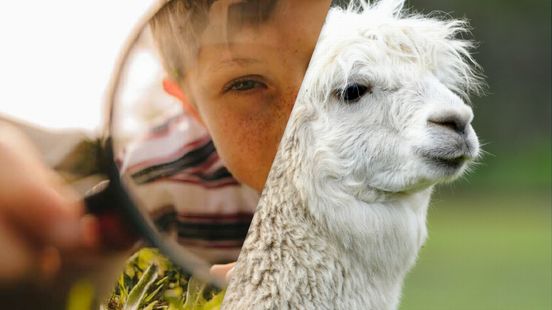 Eropuit dit weekend? Dit is er te doen in Fryslân