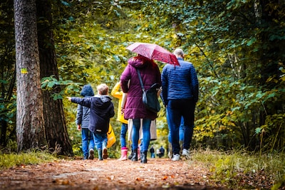 Komende week valt regen, maar de droogte in Nederland is hardnekkig: ‘Druppel op gloeiende plaat’