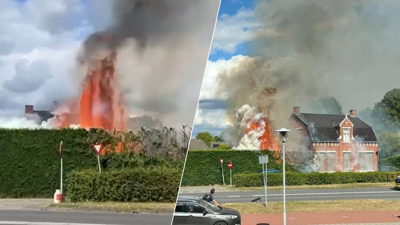 Brandweer weet huis net te redden als heg compleet in de fik vliegt