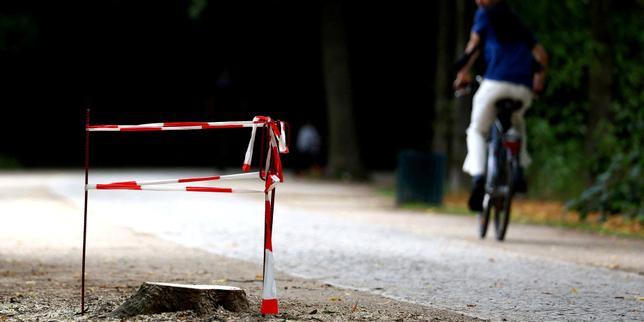 Berlin Pride attacker pledged allegiance to Islamic State, prosecutors say