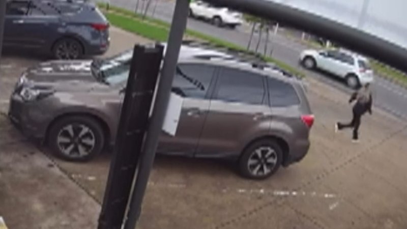 Pregnant nursery owner chases down alleged thief