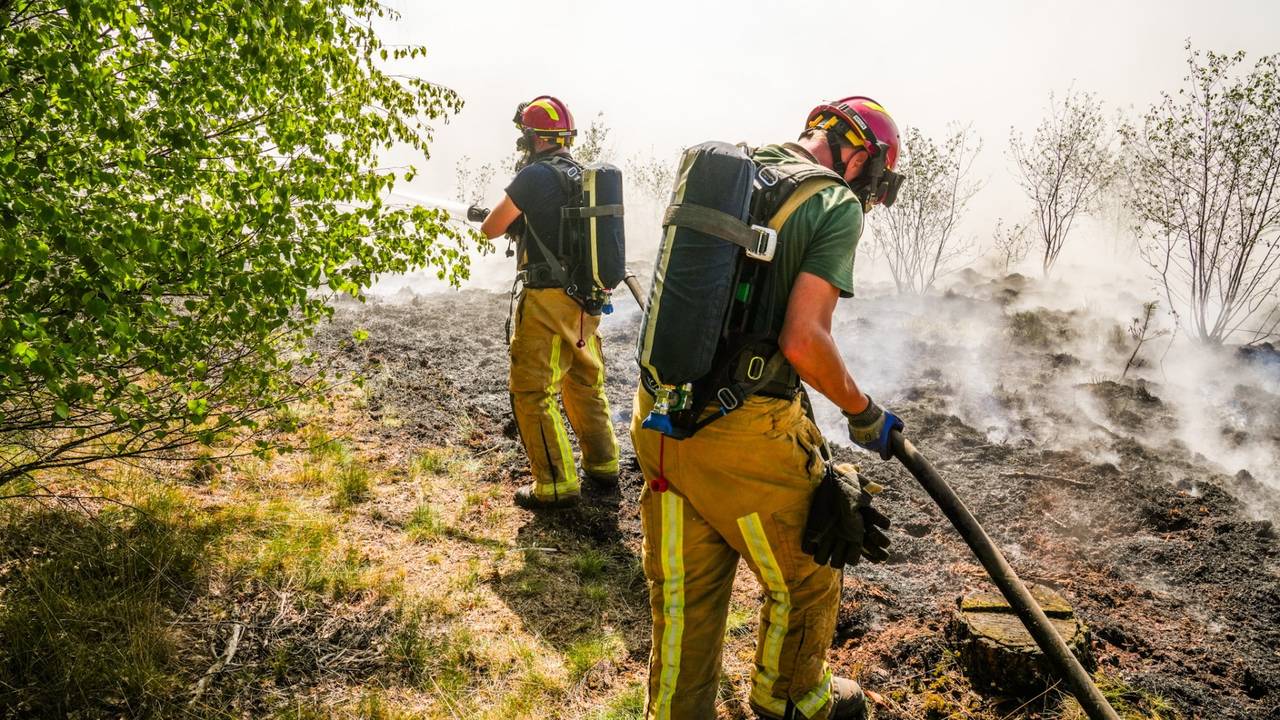 Natuurbrand in Budel laait op, Franse en Duitse brandweer helpt blussen