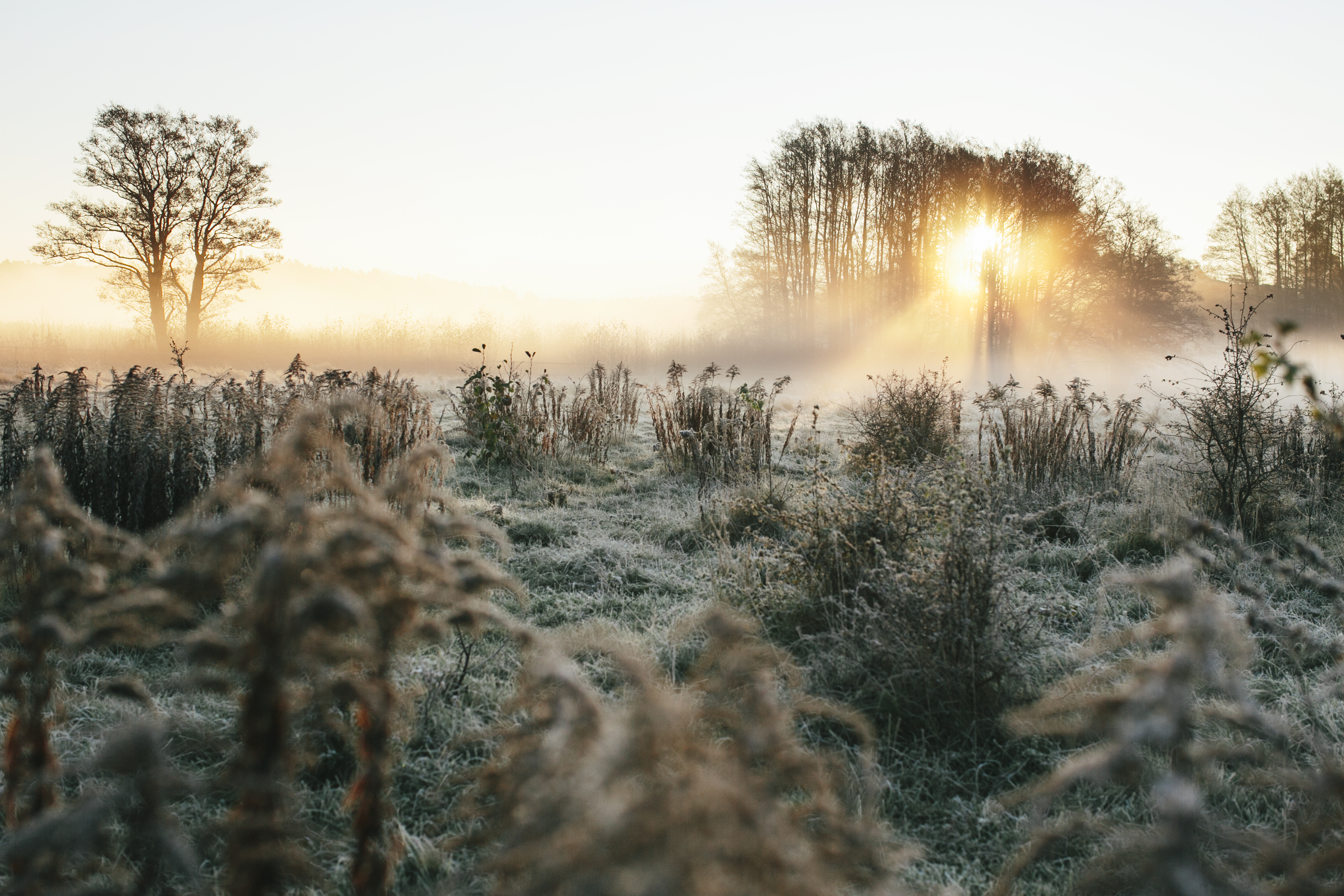 Unieke zomerse grondvorst gemeten: temperatuur daalt onder nul in Twente