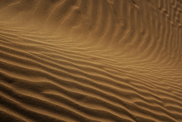 Putin, in call with Trump, put forward ideas on Iran, Kremlin says