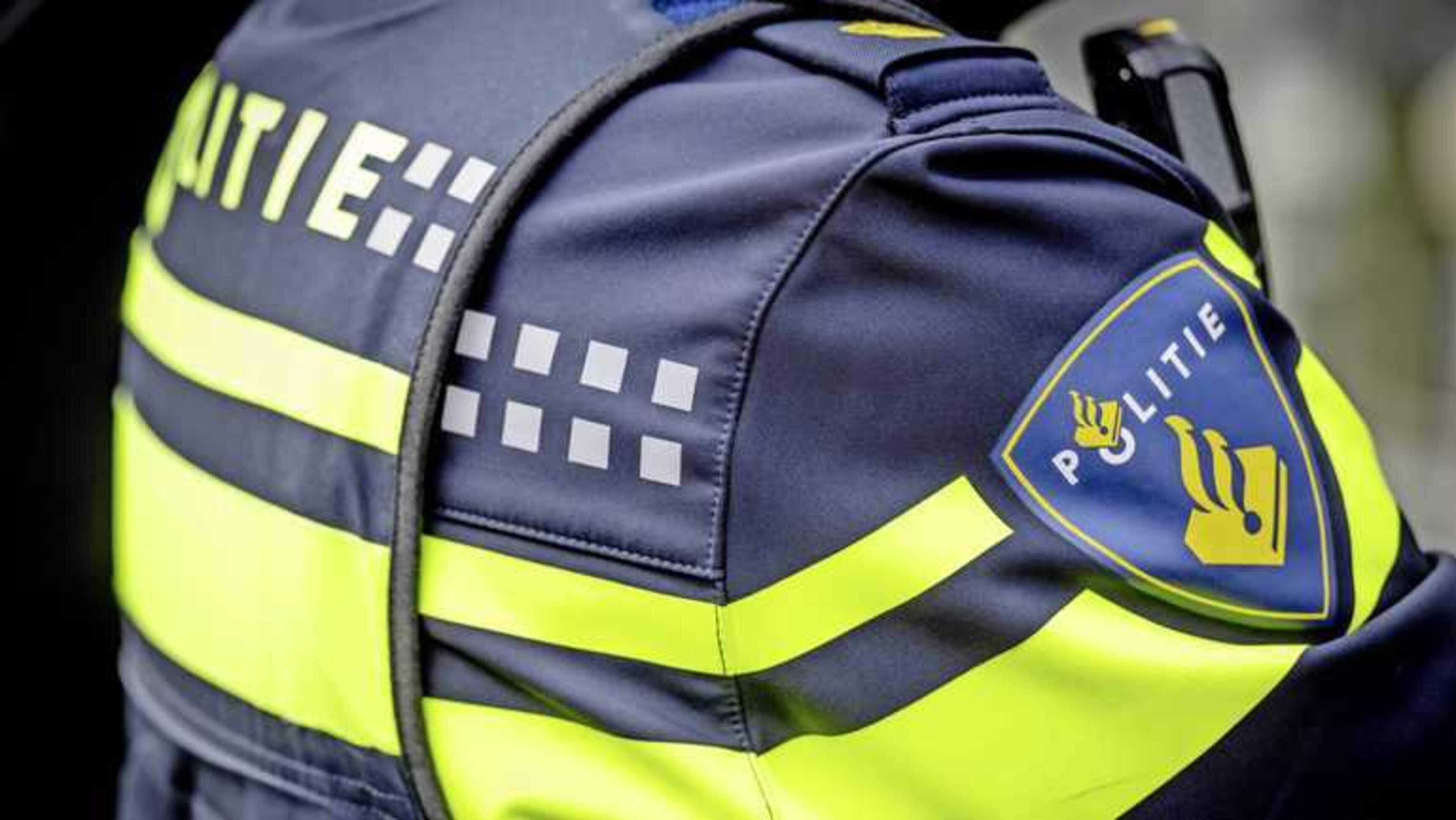 Omstanders redden hond die in de IJssel wordt meegesleurd