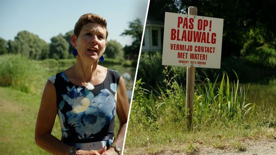 Waterschappen waarschuwen voor blauwalg en botulisme: 'Denk goed na over waar je gaat zwemmen'