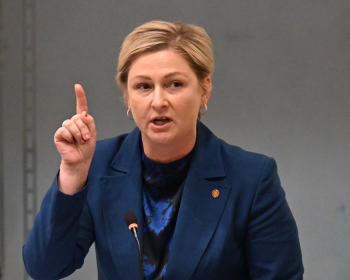 Labor to tighten child NDIS eligibility to curb spending as Queensland MP warns change is ‘failing kids’