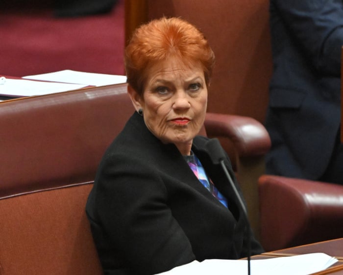 Pauline Hanson’s domestic violence comments were no stumble