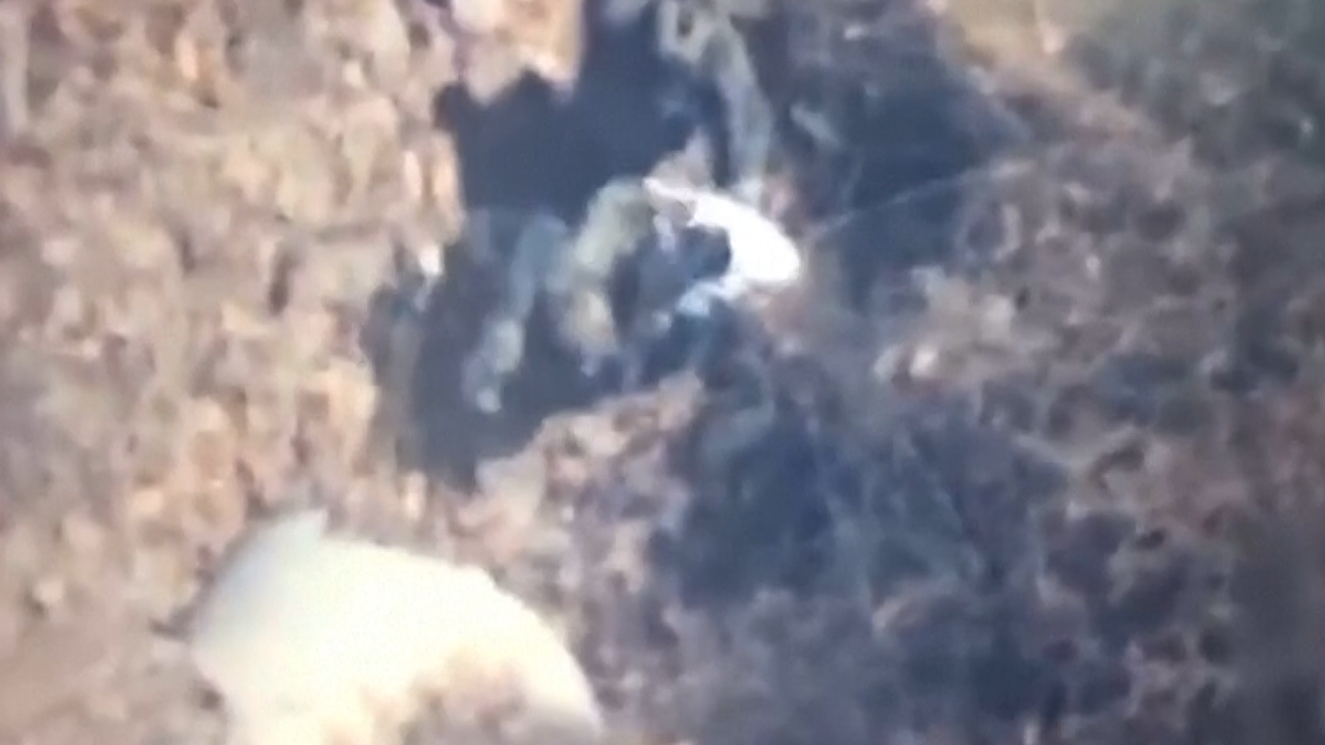 Cartel leader tipped to succeed 'El Mencho' captured