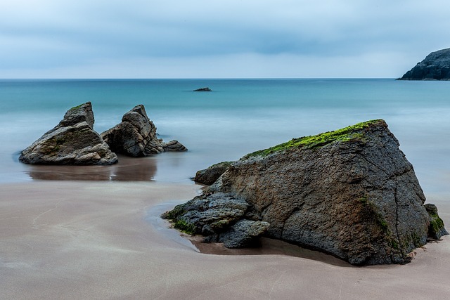 How a seaweed bloom is affecting tourism in Mexico