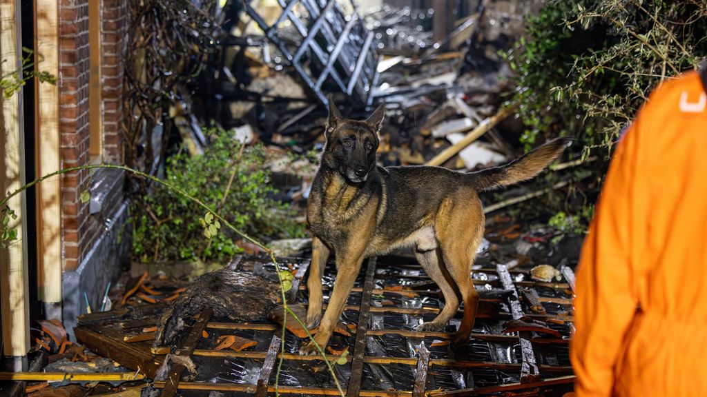 Honden vinden geen slachtoffers na explosie Utrecht, gebied tot 16.00 uur dicht
