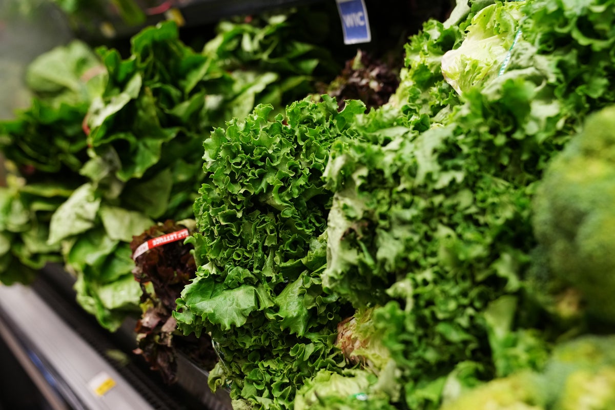 America’s biggest parasite outbreak forces food giant to ditch Mexican lettuce