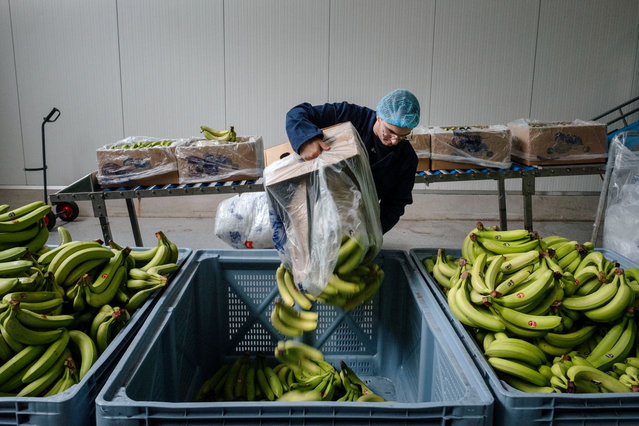 Laura Hoogland redt miljoenen goede bananen van zinloze vernietiging: ‘Ik ben geen idealist, ik ben normaal. Hoe de rest werkt, is aso’