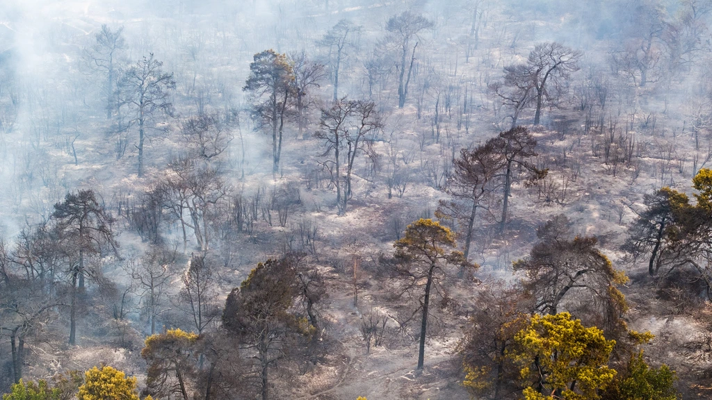 Natuurbrand Limburg wordt groter, blussen duurt nog zeker tot morgenochtend
