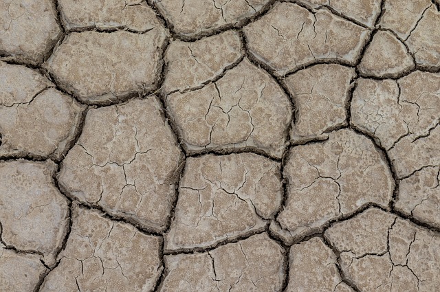 El Niño to bring more heat and disasters in coming months, UN warns