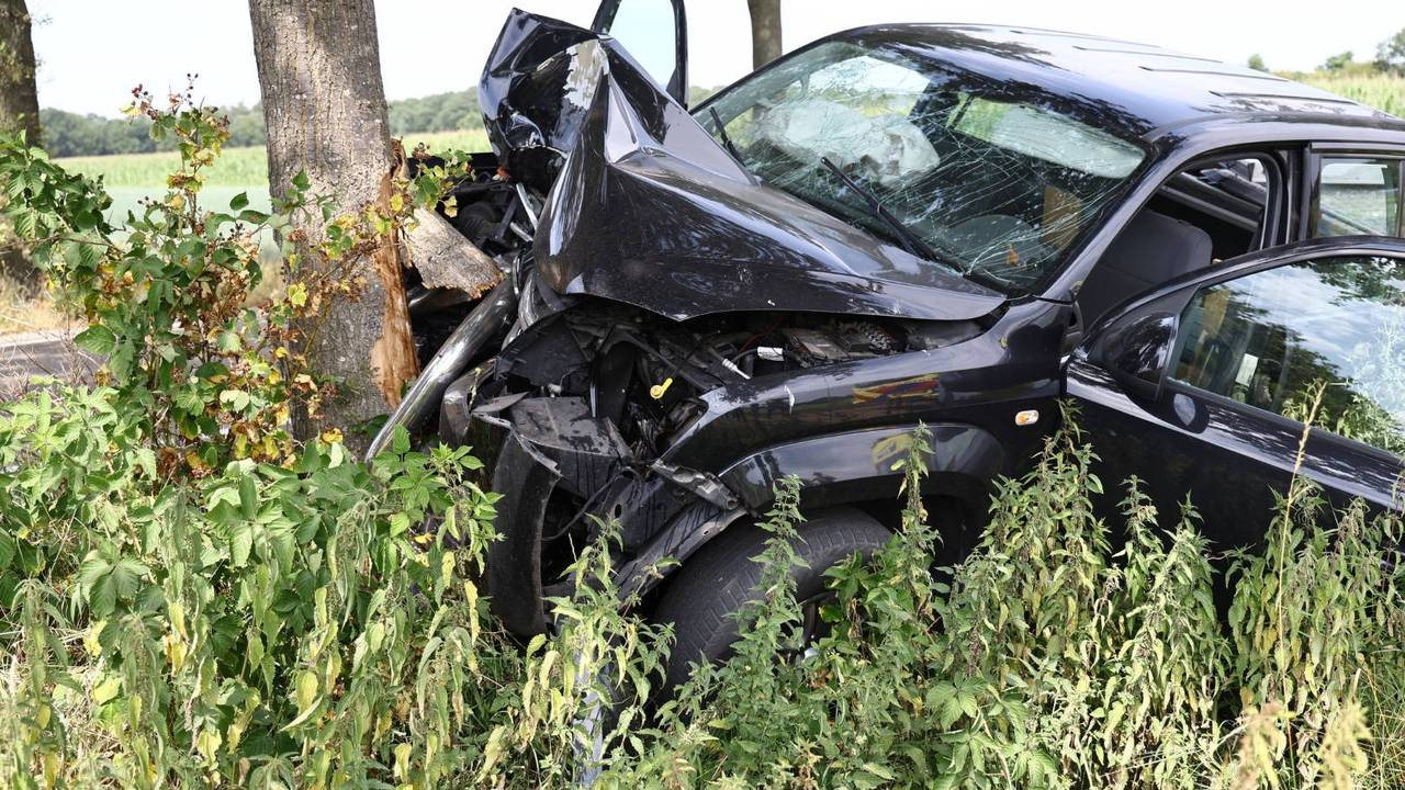 Bestuurder met spoed naar ziekenhuis na crash tegen boom in Overloon