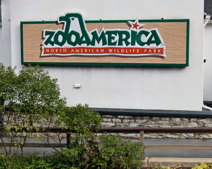 Parents charged after toddler snuck into wolf enclosure at Pennsylvania zoo