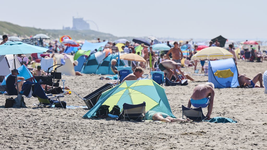 2025 in top drie warmste jaren: ‘Nederlanders hebben bananenboom in de tuin’