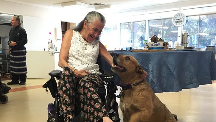 Love story: My dog Teddy was more than just a pet. We needed each other